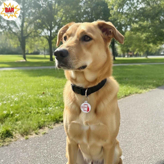 NFC dog collar tag on a golden retriever's collar outdoors