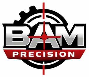 BAMprecision