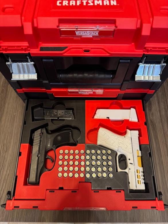 Craftsman/DeWalt Gun Case - 3D Printed Gun Case Insert for Craftsman Versastack/DeWalt Tstak
