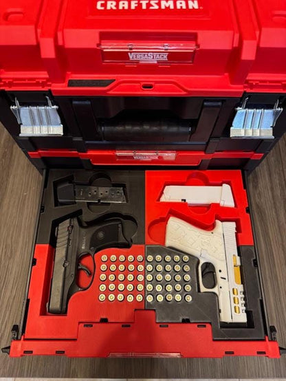 Craftsman/DeWalt Gun Case - 3D Printed Gun Case Insert for Craftsman Versastack/DeWalt Tstak