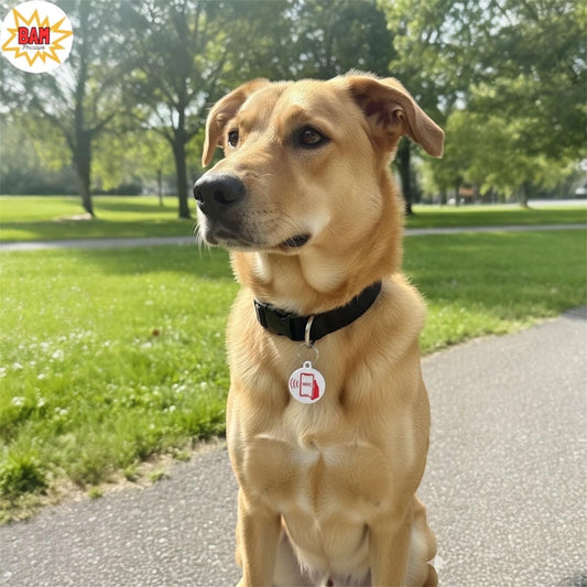 Custom NFC Dog Collar Tag: Tap-to-Text Smart Pet ID